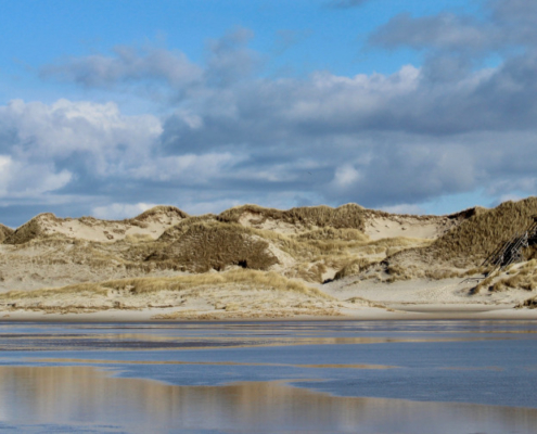 Magazin Nordsee Text