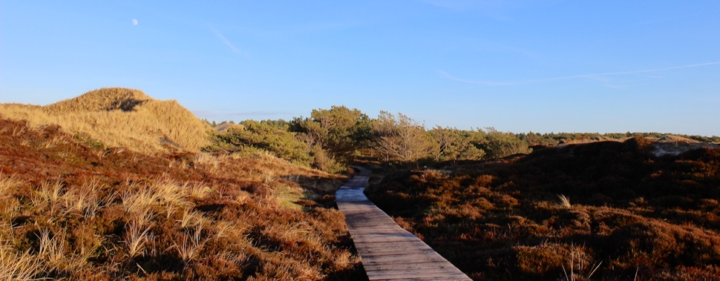 Wie Schreibt Man Ein Sachbuch Nordsee Text