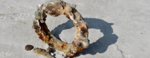 Auf hellem Sand steht ein Ring aus Metall, verkrustet, aufgequollen und voller Beulen aus Rost, wahrscheinlich ein altes Bullauge, das sehr lange im Meer unterwegs war. Foto: Birte Vogel