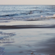 Meeressaum an nassem, dunklem Strand, nur weit hinten am Horizont ein einsamer Mensch, im Vordergrund eine große Schaumkrone aus Algenschaum. Foto: Birte Vogel