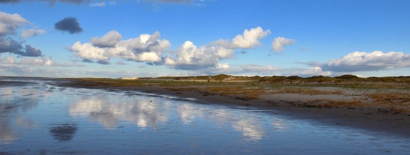 Eine Reihe von Dünen schieben sich von rechts bis nach links durchs Bild, teilweise noch grün, teilweise schon orangegelb. Im Vordergrund steht Wasser, über den Dünen blauer Himmel mit einigen Wolken, die sich unten im Wasser spiegeln. (Foto: Birte Vogel)