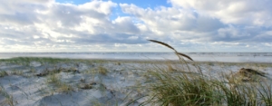 Im Vordergrund rechts ein paar Dünengräser auf einer flachen Vordüne, die sich durchs ganze Bild zieht. Dahinter das blau-weiß schimmernde Meer, darüber viele Wolken, zwischendrin knallblauer Himmel. Foto: Birte Vogel