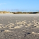 Im Vordergrund feuchter, dunkler Sand mit kleinen, vom Wind hochgewehten Häufchen, im Hintergrund Dünen und darüber ein blauer Himmel. Foto: Birte Vogel