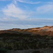 Dünenlandschaft im Sonnenuntergang, links ein Bohlenweg, der sich links hinten in den Dünen verliert, rechts einige hohe Dünen, eine davon gerade eben noch von der Sonne beschienen (Foto: Birte Vogel)