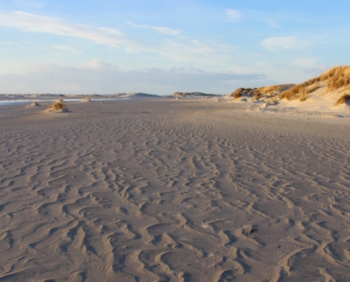 Im Vordergrund wellenförmige Strukturen im Sand, die vom Standpunkt aus in die Bildmitte hochlaufen; rechts einige Dünen, links Wasser, darüber blauer Himmel mit einigen Wolken (Foto: Birte Vogel)