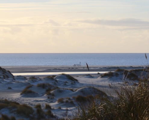 Blick von den Dünen nach unten auf den Strand, an dem zahlreiche Vordünen liegen. Dahinter das blaue Meer, darüber ein hellgelber, hellblauer Spätnachmittagshimmel. Foto: Birte Vogel