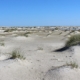 Am Strand: Weißer, feiner Sand, zu unzähligen kleinen Häufchen aufgehäuft, aus denen dünnes, grünes Dünengras wächst. Diese Häufchen liegen ganz durcheinander, so weit das Auge blicken kann. Darüber ein leuchtend blauer Himmel. (Foto: Birte Vogel)