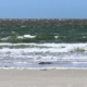 Blick vom Strand aufs Meer, vorne ein Streifen heller Sand, dann der Spülsaum, mittendrin ein kleiner Vogel, ein Alpenstrandläufer, dahinter in verschieden intensiven Dunkelgrün- und Braunfarben das unruhige Meer (Foto: Birte Vogel)