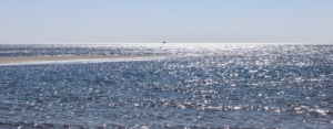 Ein ganz blaues Meer im Vordergrund, das zwar unruhig ist, aber nur kleine Wellenbewegungen zeigt. Von links kommt mittig eine kleine Sandbank ins Bild. Am Horizont ein Krabbenkutter. Der Himmel darüber hellblau. (Foto: Birte Vogel)