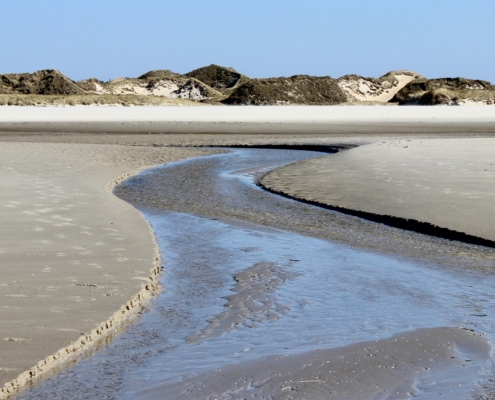 Am Strand: Ein flacher Priel schlängelt sich mitten durchs Bild Richtung Dünengürtel, der im Hintergrund zu sehen ist. Darüber blauer Himmel. (Foto: Birte Vogel)