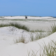 Ein Blick durch niedrige Sanddünen mit weißem Sand und einigen grünen Dünengräsern, über eine weite Sandfläche, am Horizont weitere niedrige Dünen, davor ein weiß-blau gestreifter Strandkorb. Im Hintergrund das blaue Meer, darüber ein blauer Himmel. (Foto: Birte Vogel)