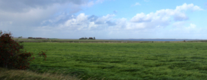Im Vordergrund links ein Busch mit leuchtend dunkelroten Hagebutten, dahinter eine grüne Wiese, dahinter auf einer leichten Anhöhe ein Reetdachhaus, rechts davon die Nordsee, am Horizont die Insel Föhr. Der Himmel ist teils hellblau, teils ziehen Wolken von links auf. (Foto: Birte Vogel)